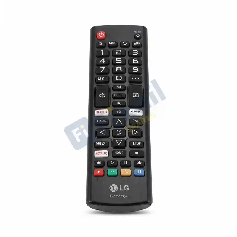 Remote Controller Assembly